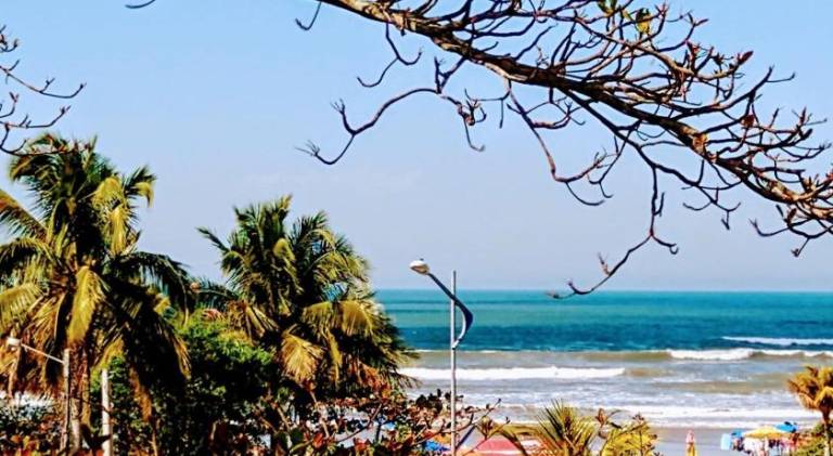 Beautiful vacation home with yard & terrace | Close to the beach | Suitable for remote work | Dogs allowed — photo 4