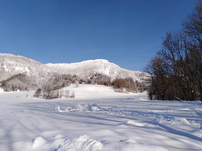 foto4
