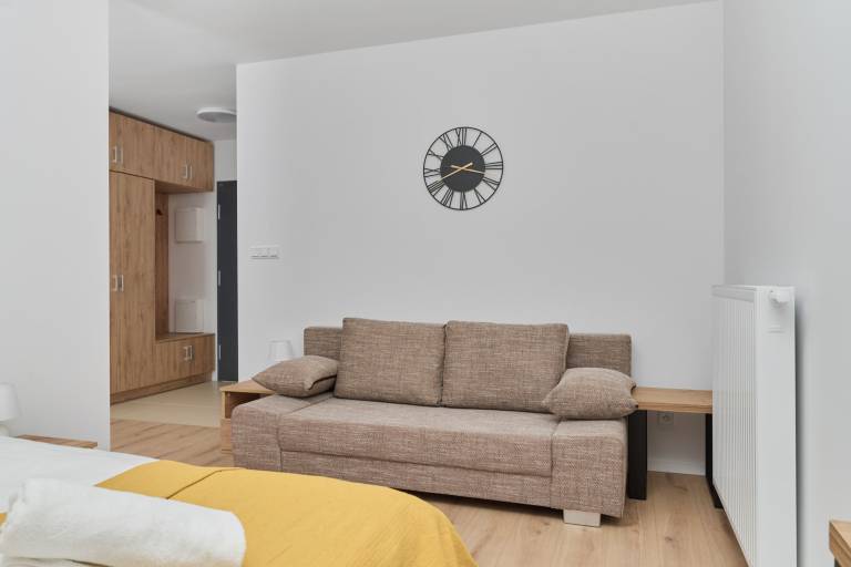 Family-friendly pleasant studio with fast internet | Pets are welcome — photo 2