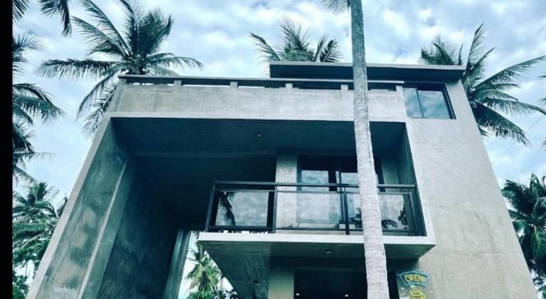 Patar Palms — photo 4