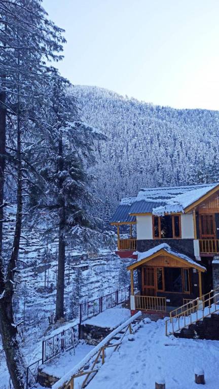 Majestic View Cottages — photo 4