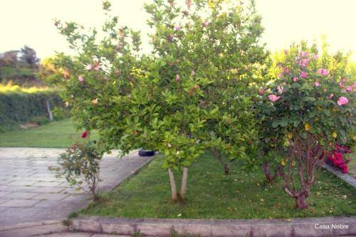 foto14