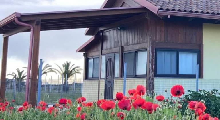 Serviced apartment with terrace & yard | Dogs allowed in Andria