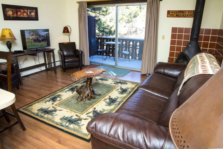 Condo with terrace — photo 2