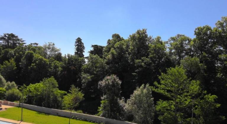foto6
