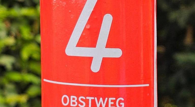 foto39