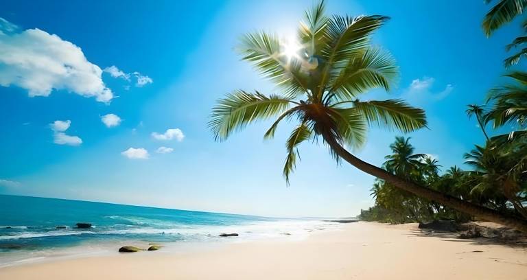 Lucky Phu Quoc Hotel — photo 4