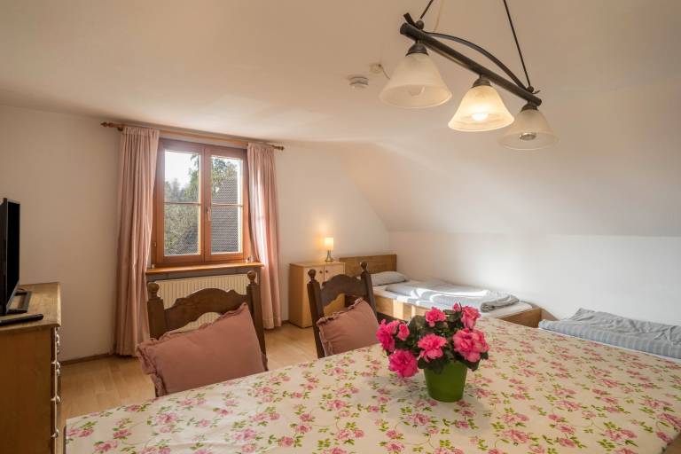 Pleasant rental apartment | Mountain view | Pets are welcome — photo 3