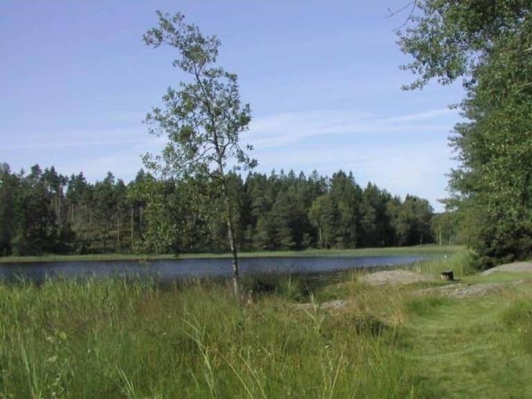 foto20