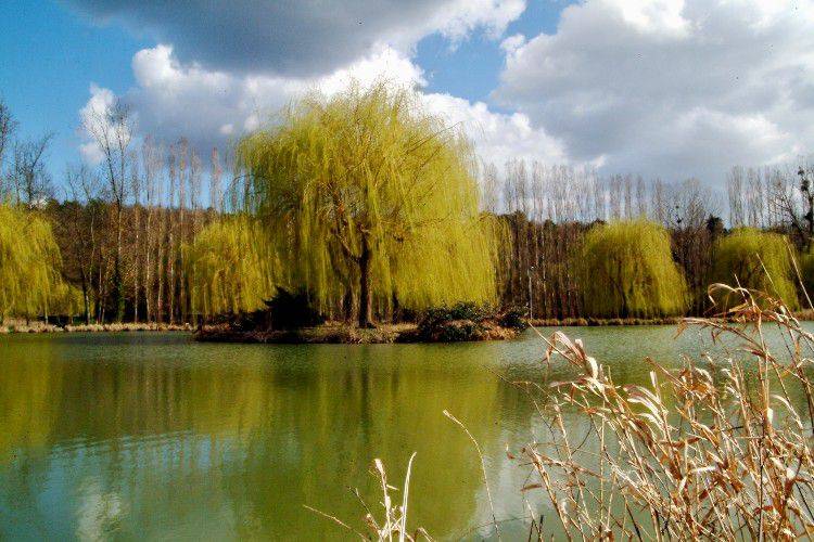 Tente Nemours
