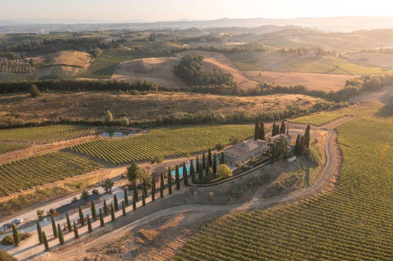 Tenuta Bartoli: Tenuta Bartoli