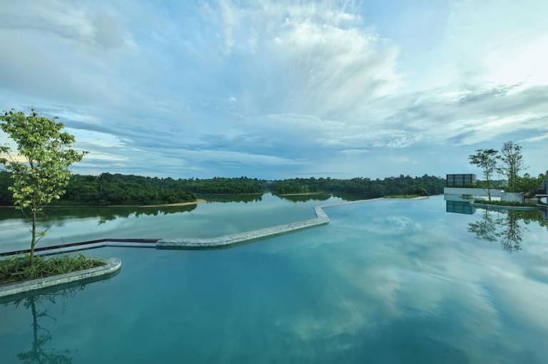 Resort Central Water Catchment