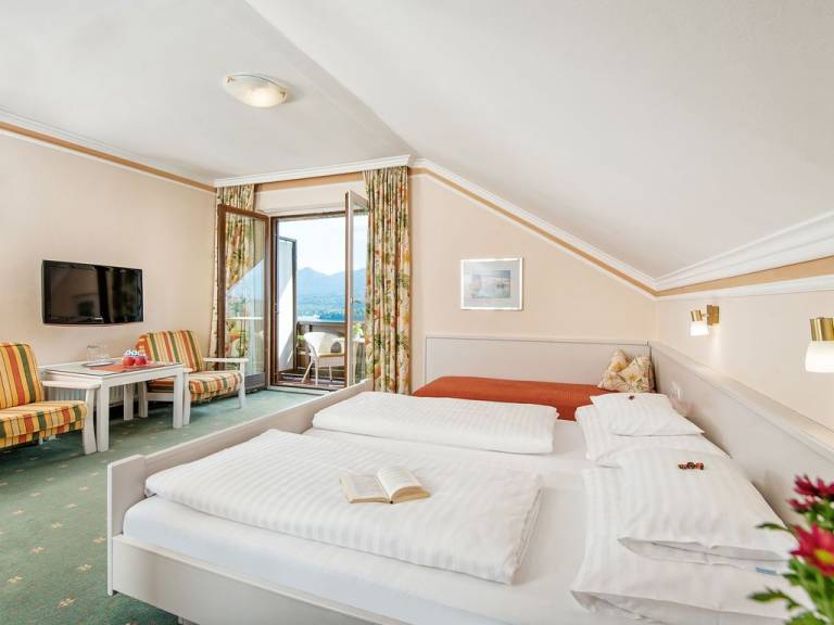 Privatzimmer mit Hund in Villach für max. 2 Personen Privatzimmer mit Hund in Villach für max. 2 Personen