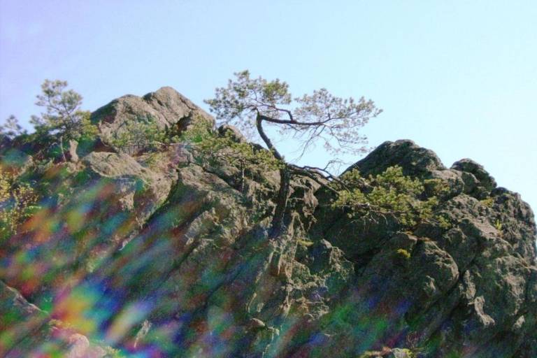 foto33