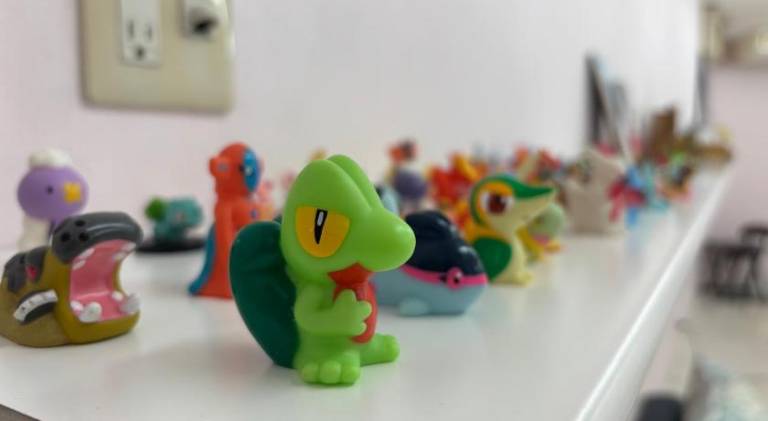 foto41
