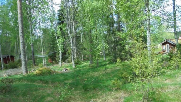 Vacation home with garden & patio | Pets allowed — photo 2
