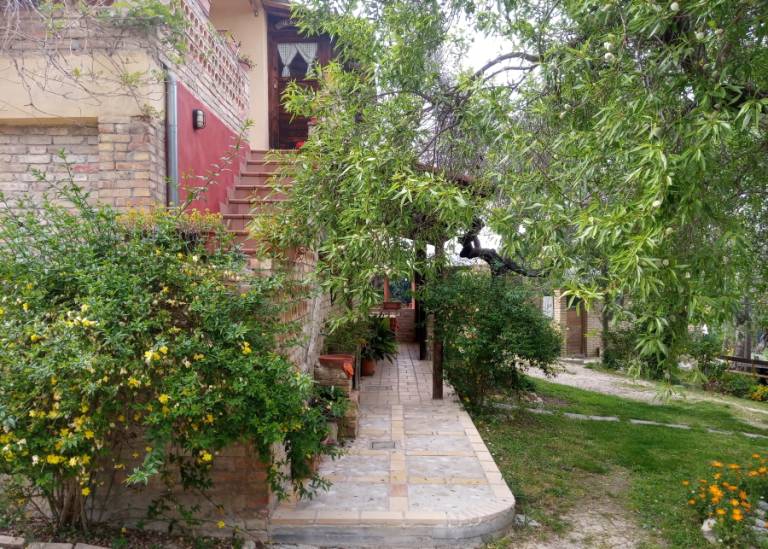 foto41