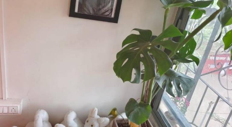 foto32