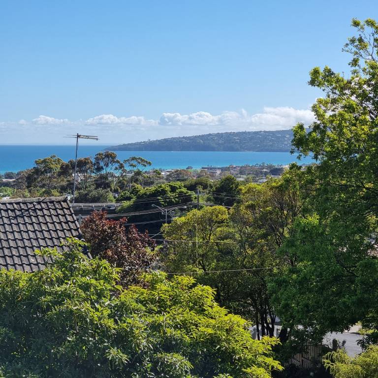 House Dromana