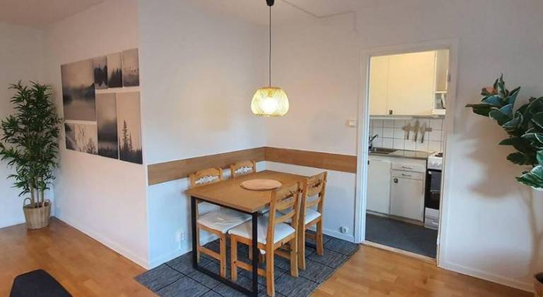 Holiday apartment with yard — photo 3