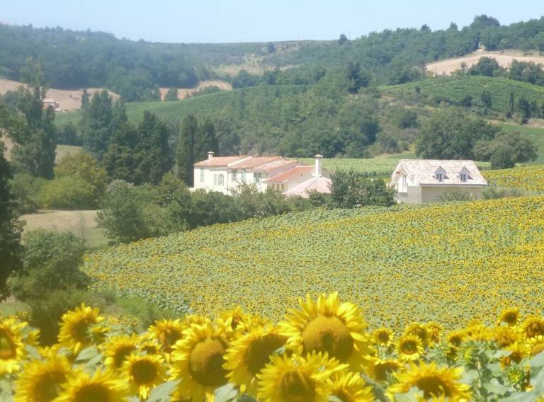 House  Bellegarde-du-Razès