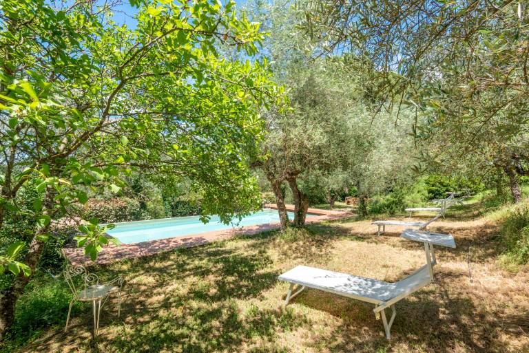 Beautiful apartment with fast internet, garden & pool | Pets allowed — photo 2