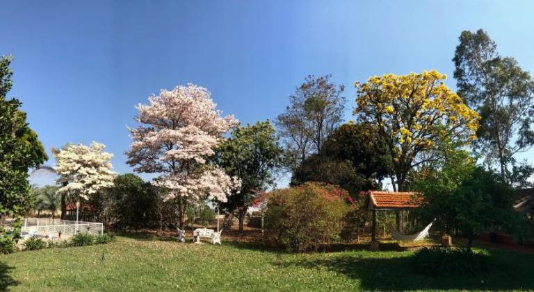 foto11
