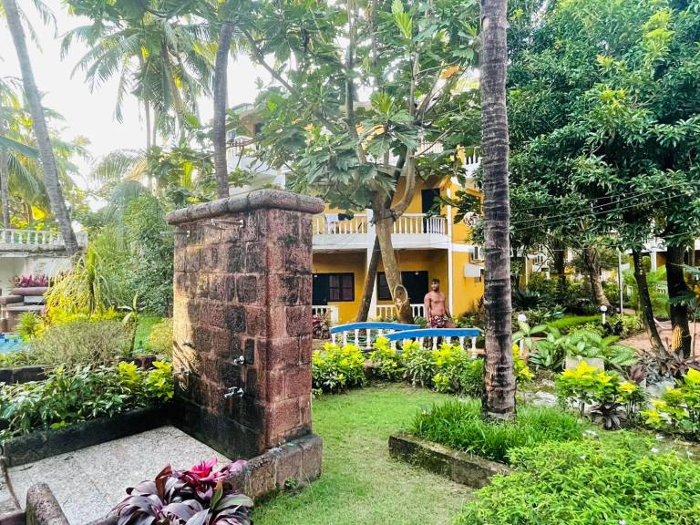 Lushy Days Palm Resort — photo 3