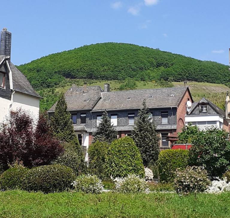 Ferienwohnung  Zell (Mosel)