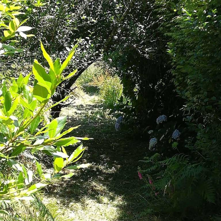 foto37