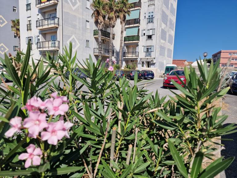 foto21