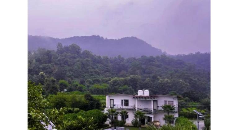 The Nature View Resort — photo 2