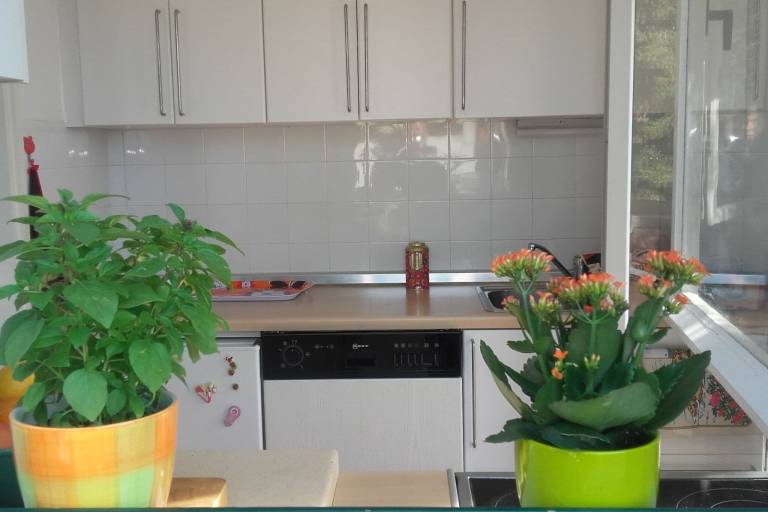 Fully equipped house with garden, barbeque & patio | Close to the beach | Pet-friendly — photo 3