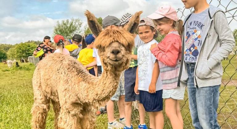 Bed & Breakfast Drohiczyn