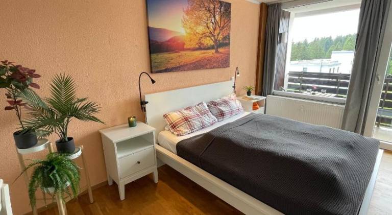 Rental apartment | Dogs allowed in Freudenstadt