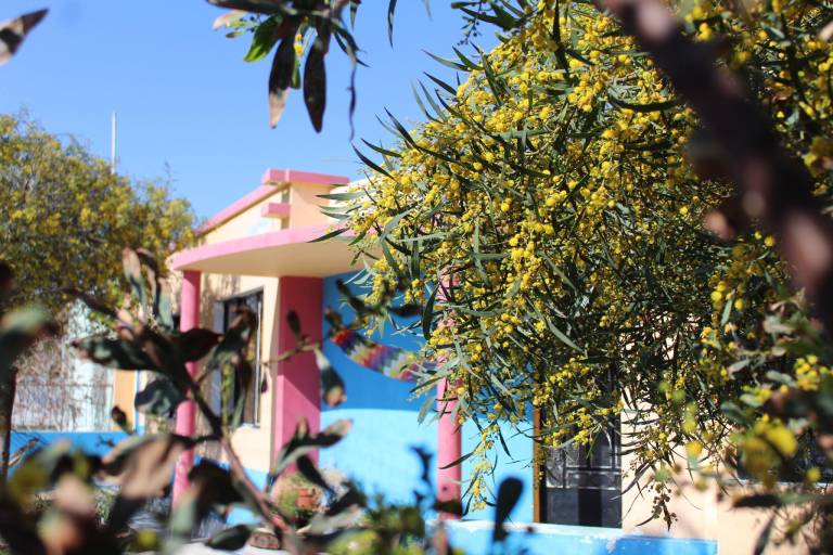 Hostel la posada gallo in Arica