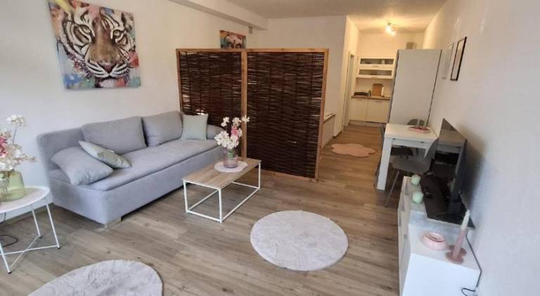Apartment with 1 room for 3 persons — photo 2