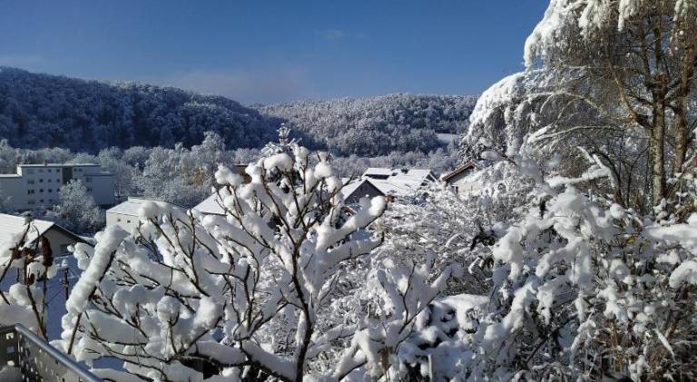 foto8