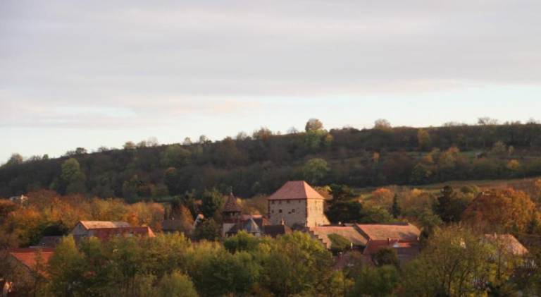 foto6