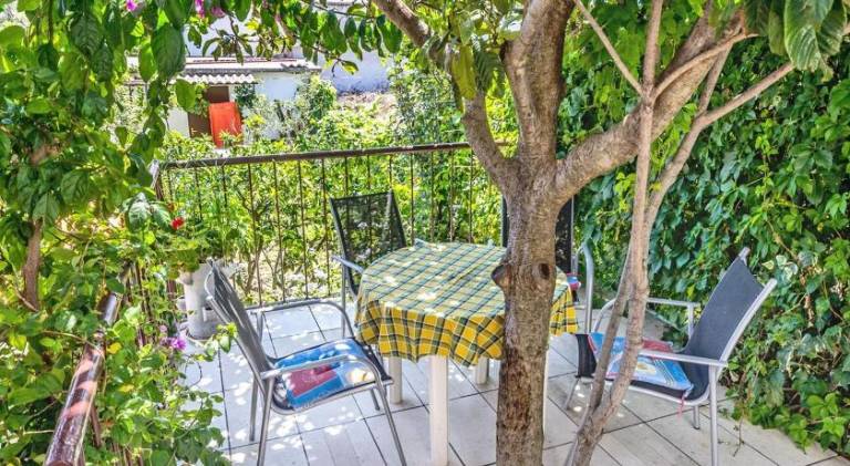 Beautiful holiday apartment with patio | Next to the beach | Pet-friendly — photo 5