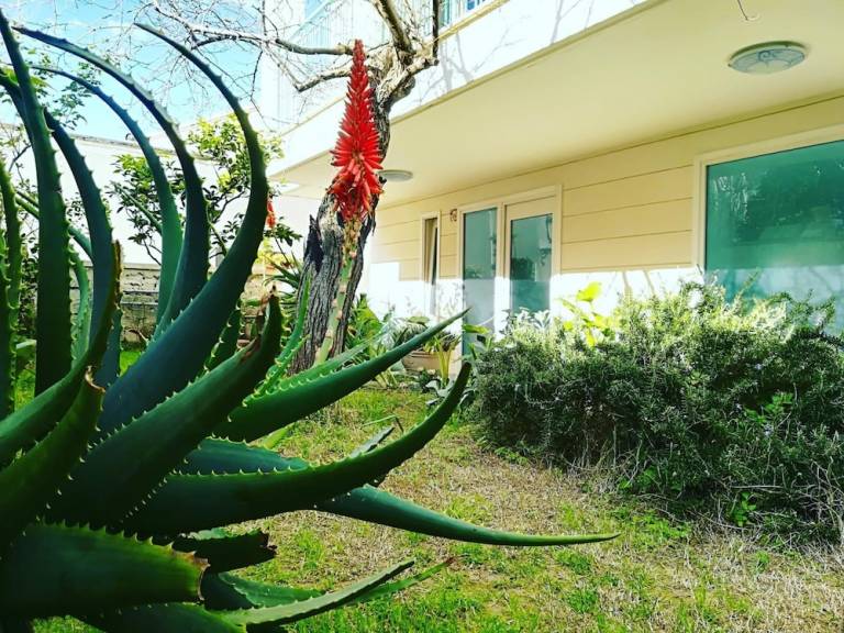 Bed & Breakfast Otranto