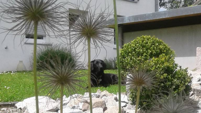 Ferienwohnung Lörrach