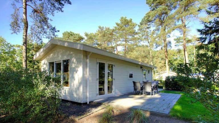 Chalet with 2 bedrooms and a terrace