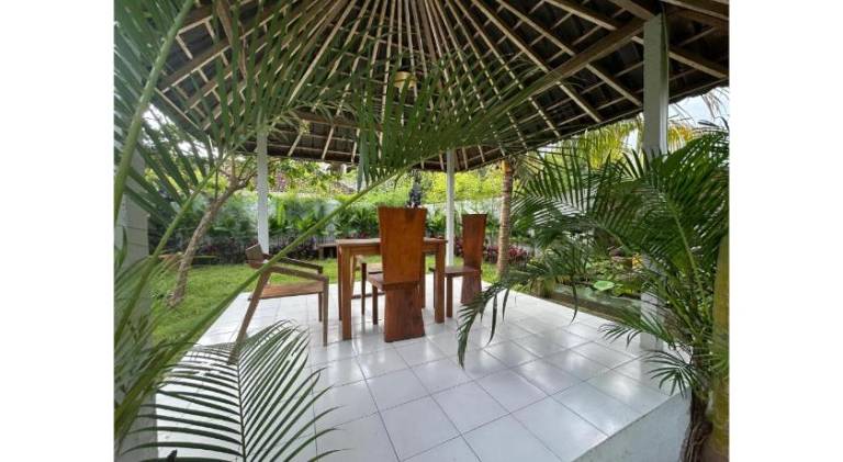 Villa with pool — photo 4