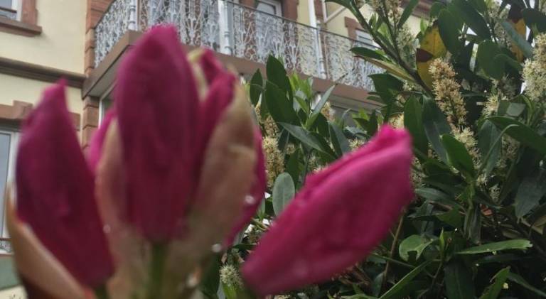 foto11