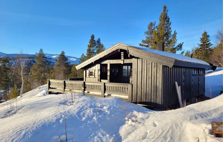 Feriehus Hovden i Setesdal