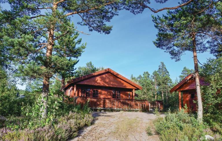 Hus  Nissedal