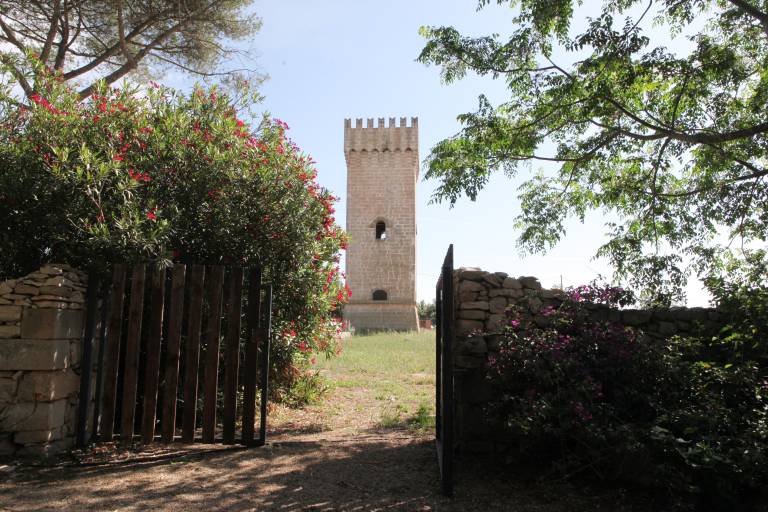 foto12