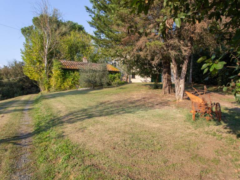 foto39