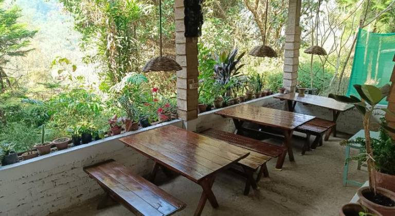 Children-friendly pleasant farm with grill, terrace & yard | Pets are welcome — photo 5